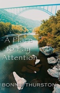 Cover: A Place to Pay Attention - Cinnamon Press