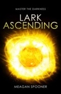 Cover: Lark Ascending - RHCB Digital
