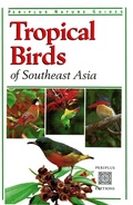 Cover: Tropical Birds - Periplus Editions