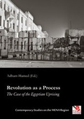 Cover: Revolution as a Process - Ehv Academicpress