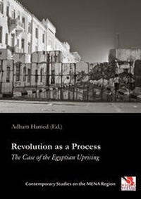 Enlarge image Cover: Revolution as a Process - Ehv Academicpress