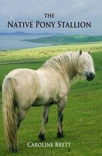 Enlarge image Cover: The Native Pony Stallion - Wildeye