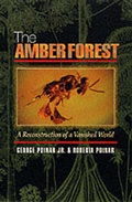 Cover: The Amber Forest - Princeton University Press