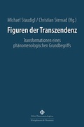 Cover: Figuren der Transzendenz - K&ouml;nigshausen & Neumann