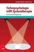 Cover: Tiefenpsychologie trifft Systemtherapie - Vandenhoeck & Ruprecht