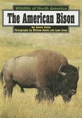 Cover: The American Bison - Capstone Press