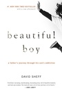 Cover: Beautiful Boy - Houghton Mifflin