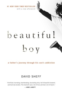 Enlarge image Cover: Beautiful Boy - Houghton Mifflin