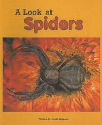 Enlarge image Cover: A Look at Spiders - Steck-Vaughn