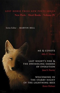 Enlarge image Cover: New Poets, Short Books, Volume IV - Lost Horse Press
