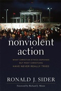 Cover: Nonviolent Action - Brazos Press, Div of Baker Publishing Group