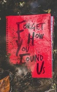 Enlarge image Cover: Forget How You Found Us - Burrow Press