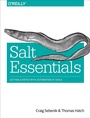 Cover: Salt Essentials - O'Reilly