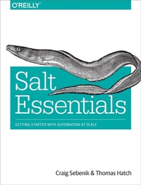 Enlarge image Cover: Salt Essentials - O'Reilly