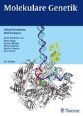 Cover: Molekulare Genetik - Thieme