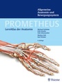 Bild: PROMETHEUS Allgemeine Anatomie und Bewegungssystem - Thieme