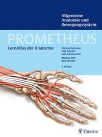 Bild vergrößern Bild: PROMETHEUS Allgemeine Anatomie und Bewegungssystem - Thieme