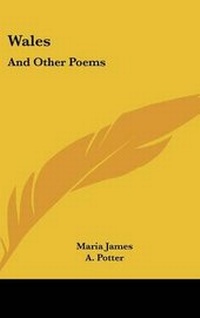 Enlarge image Cover: Wales - Kessinger Publishing