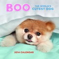 Cover: Boo the World's Cutest Dog 2014 Calendar - Chronicle Books