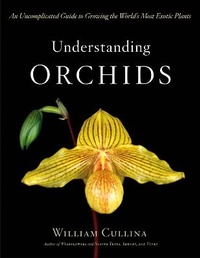 Abbildung von: Understanding Orchids - Houghton Mifflin