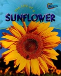 Cover: The Life of a Sunflower - Raintree
