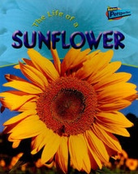 Enlarge image Cover: The Life of a Sunflower - Raintree