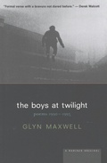 Cover: Boys at Twilight - Mariner Books