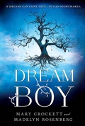 Cover: Dream Boy - Sourcebooks Fire