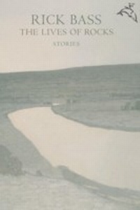 Enlarge image Cover: Lives of Rocks - Mariner Books