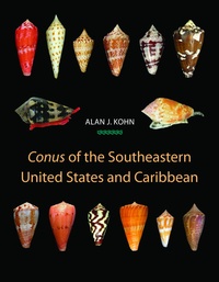 Abbildung von: Conus of the Southeastern United States and Caribbean - Princeton University Press