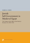 Cover: Jewish Self-Government in Medieval Egypt - Princeton University Press