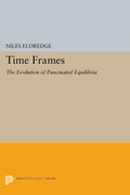 Cover: Time Frames - Princeton University Press