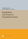 Cover: Instabilities and Fronts in Extended Systems - Princeton University Press