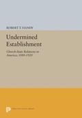 Cover: Undermined Establishment - Princeton University Press