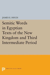 Abbildung von: Semitic Words in Egyptian Texts of the New Kingdom and Third Intermediate Period - Princeton University Press