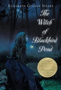 Cover: Witch of Blackbird Pond - Clarion Books