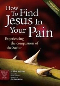 Enlarge image Cover: How to Find Jesus in Your Pain - Discovery House Publishers