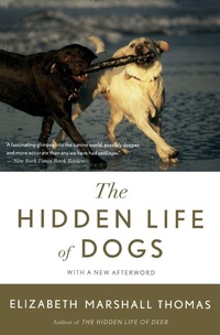Enlarge image Cover: The Hidden Life of Dogs - Mariner Books