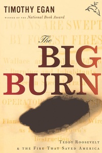 Abbildung von: Big Burn - Mariner Books