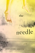 Cover: Needle - Houghton Mifflin Harcourt Publishing Company