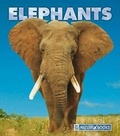 Cover: Elephants - Child's World