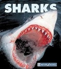 Cover: Sharks - Child's World