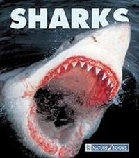 Enlarge image Cover: Sharks - Child's World