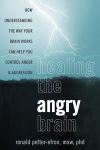 Enlarge image Cover: Healing the Angry Brain - New Harbinger Publications