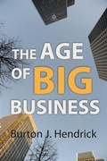 Cover: The Age of Big Business - Big Nest