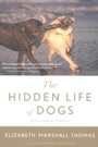 Cover: The Hidden Life Of Dogs - HarperCollins
