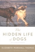 Cover: The Hidden Life Of Dogs - HarperCollins