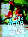 Cover: So Long, Hector Bebb - Parthian Books