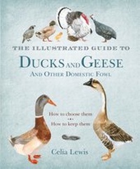 Abbildung von: The Illustrated Guide to Ducks and Geese and Other Domestic Fowl - Bloomsbury Natural History