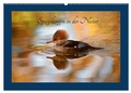 Cover: Approaching Change One Story at a Time - Ebookit.com